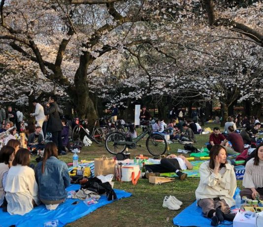 Hanami fêté | Plan de relance économique | Missiles dans la mer du Japon