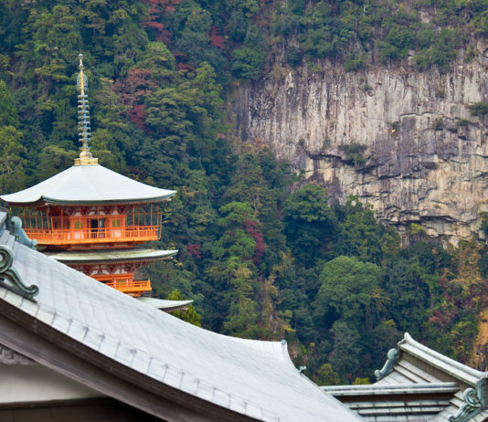 Shinzô Abe à Kumamoto | Pollution dans le lac Biwa | Rituel sacré à Wakayama