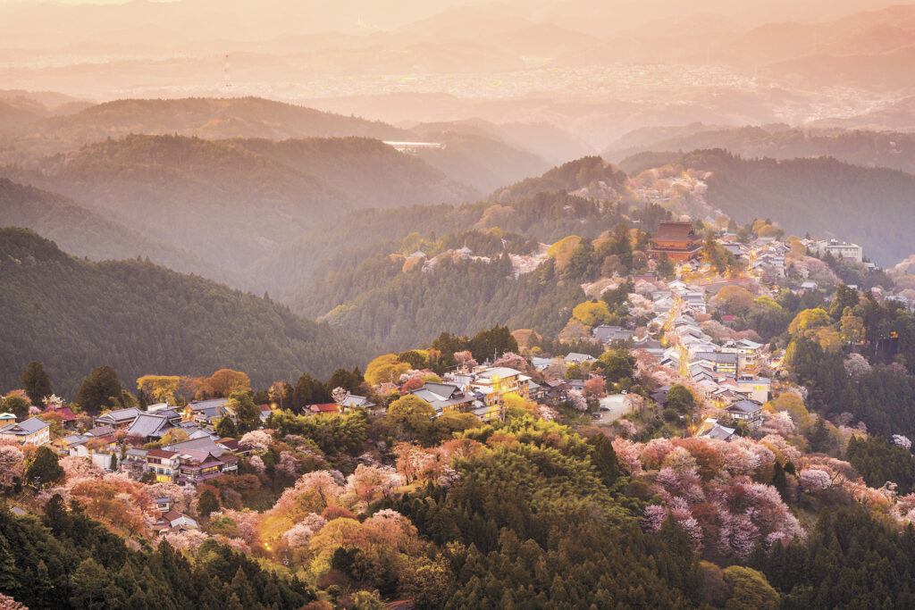 vue de yoshinoyama et ses cerisiers au printemps