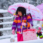 D'importantes chutes de neige au Japon