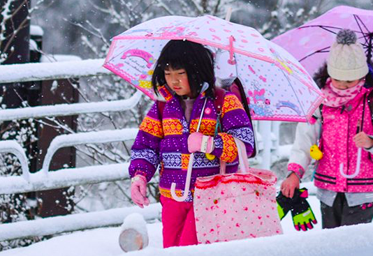 D'importantes chutes de neige au Japon