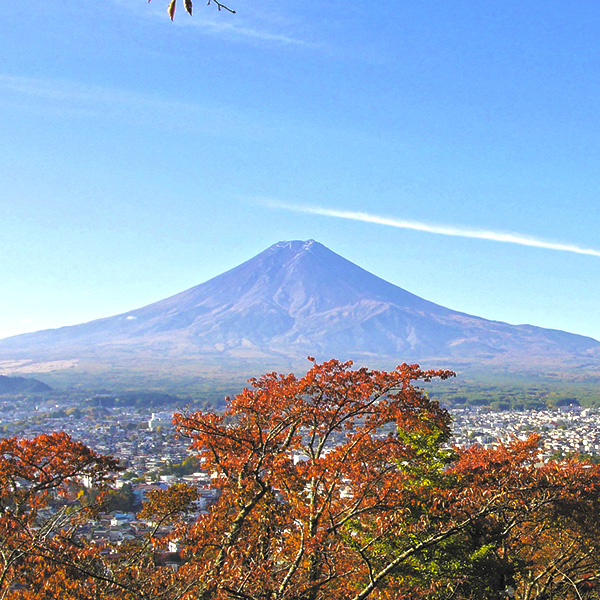 Avant les premières chutes de neige, au moment où les couleurs d’automne l’atteignent, le mont Fuji est bien souvent démuni de son iconique calotte blanche. Tout l’été, il n’offrait plus qu’une silhouette brune et nue.
