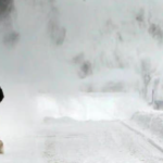 Tempête de neige au Japon