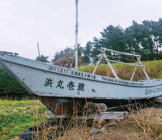 Journal Nº35 – Dix ans, trois désastres