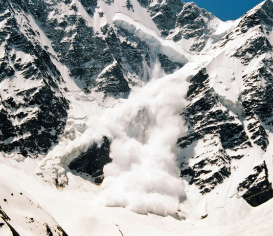 Certificat de vaccination |Un mort dans l’avalanche| Dragon du château de Shuri-jo