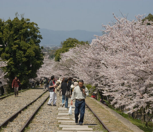Golden Week et COVID-19 | Haruki Murakami | La voie ferrée aux sakura