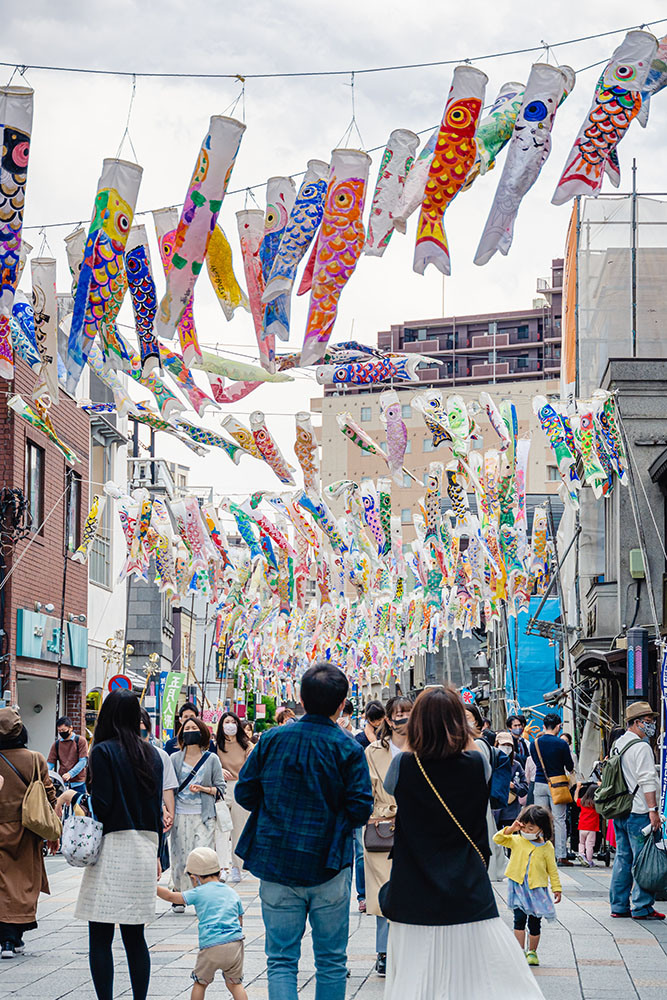 , Journal N°37 &#8211; L&rsquo;éveil japonais