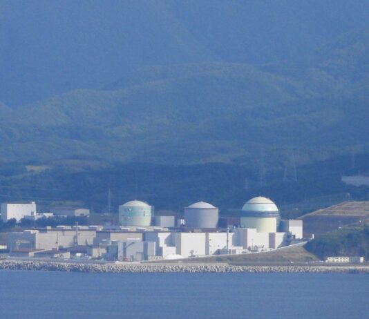 DOGE japonais | Centrale nucléaire | Nouvel ozeki