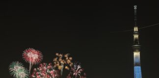 Feux d’artifices Rivière Sumida