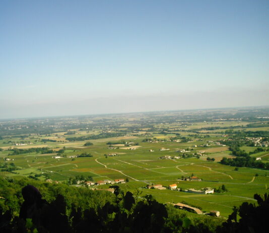 Plan de relance | Prix des visas | Beaujolais Nouveau
