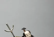 , Accueil 2