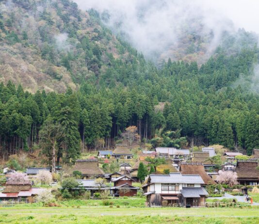 Iran et Japon | Maisons abandonnées | Variole