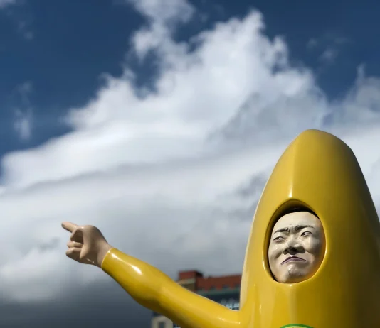 Journal Nº61 – Une pointe d’humour