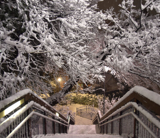 Cyberdéfense | Chutes de neige | Carrière éphémère
