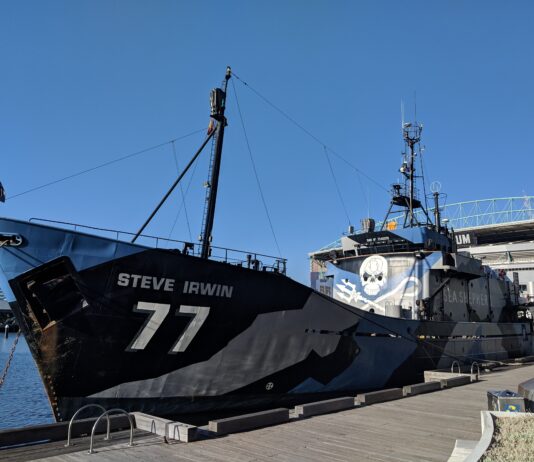 Fumio Kishida | Services perturbés | Sea Shepherd