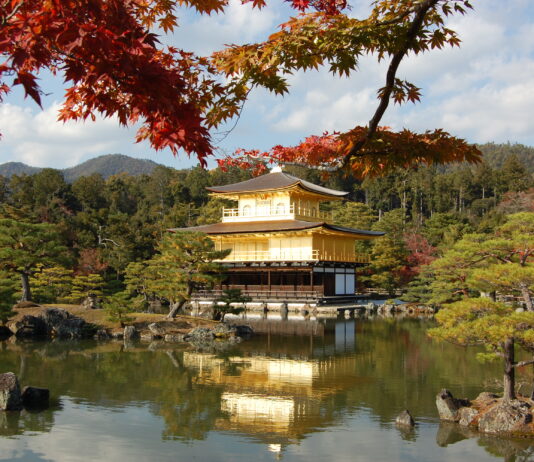 Espion japonais | Petites retraites | Changement de couleurs