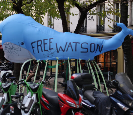 Space One | Paul Watson | Voyeurisme