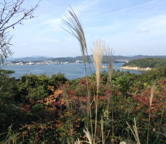 Accord avec le Vietnam | Taux en baisse | Gouffre à Saitama