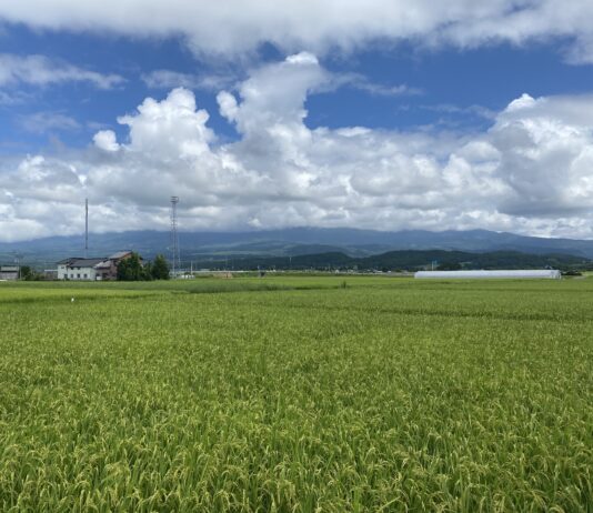 Japon-Corée du Sud | Zones rurales | Soutien aux enseignants