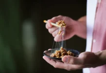 Magazine Nº5 – Cultures fermentées du Japon