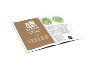 , Magazine N&ordm;6 &ndash; Le Japon face &agrave; ses &eacute;motions