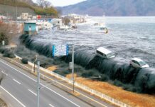 Commémorations de 2011 | Diplomatie préparative | Scandale éditorial