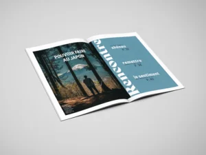 , Magazine Nº7 – Pouvoirs au Japon