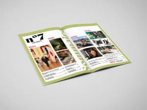 , Magazine Nº7 – Pouvoirs au Japon