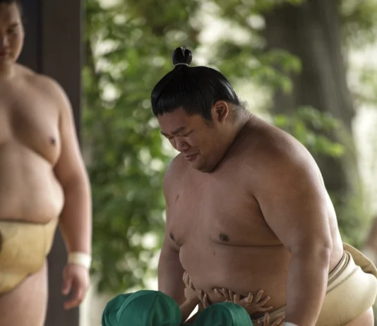 Magazine Nº8 – Faire corps au Japon