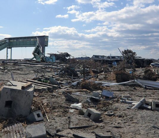 Révision de la Constitution | Axe Japon-Afrique | Parc commémoratif à Fukushima