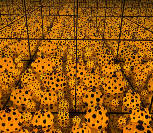 Mort de Yayoi Kusama | Drame au Népal | Pluies diluviennes