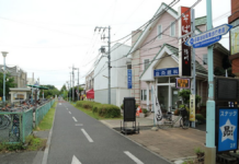 Taux japonais | Vitesse routière | CoCo Ichibanya | Amitié franco-japonaise , Accueil 2
