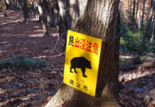 Rencontre par nom | Repousser les ours | Bentō express , Accueil 2