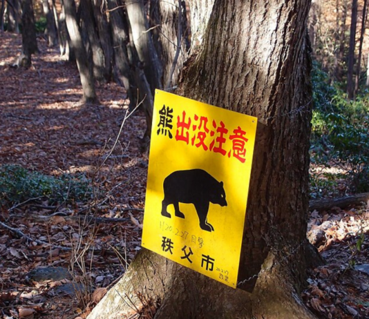 Rencontre par nom | Repousser les ours | Bentō express