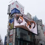 Magazine Nº10 – Japon : écran sur le futur ?